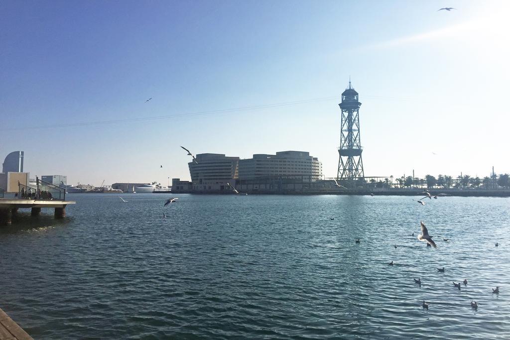 Apartament Colon Bcn 130 Mts 3 Dormitorios Port Vell バルセロナ エクステリア 写真